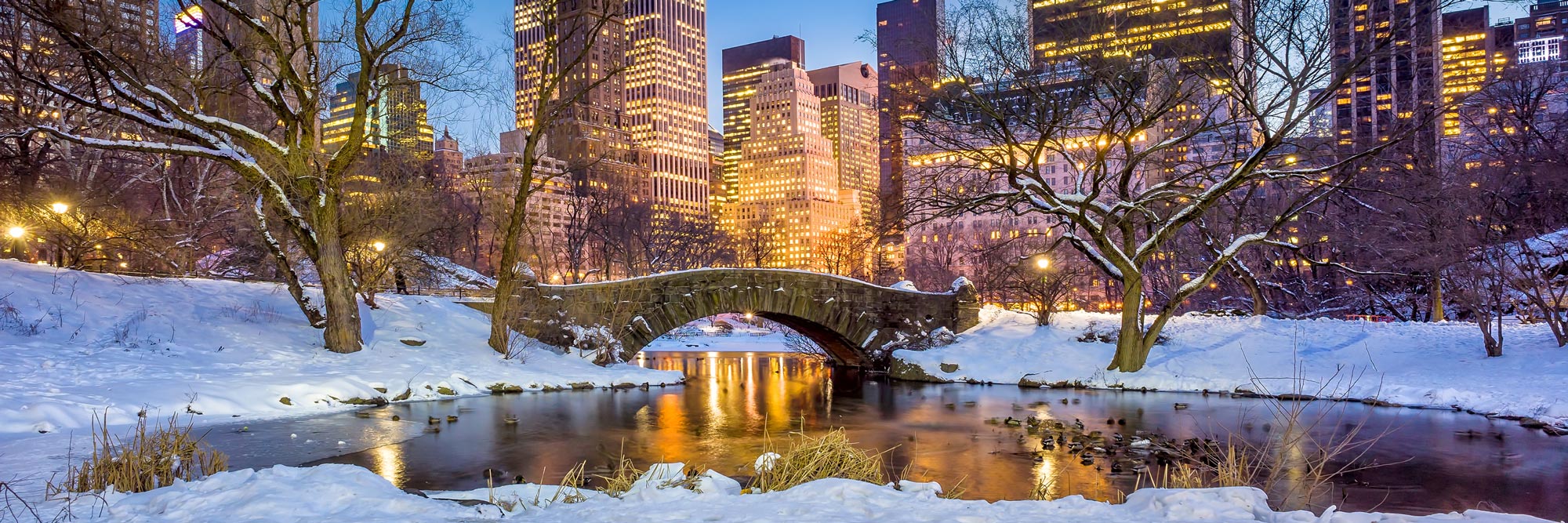 Central park lake and bridge with lit up city in background and snow on the ground.