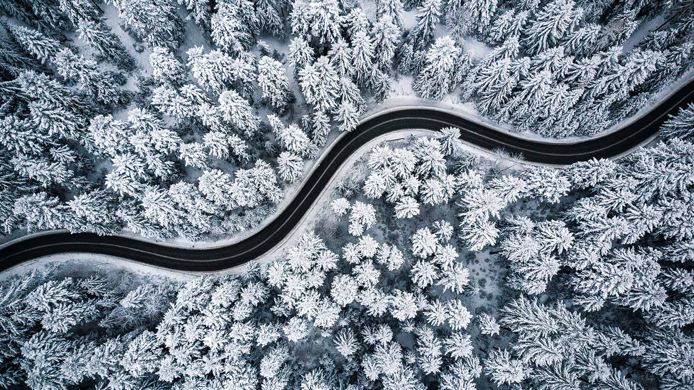 hero-road-through-trees-winter-shutterstock_1262270857