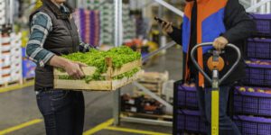 Woman holding box of lettuce in a warehouse