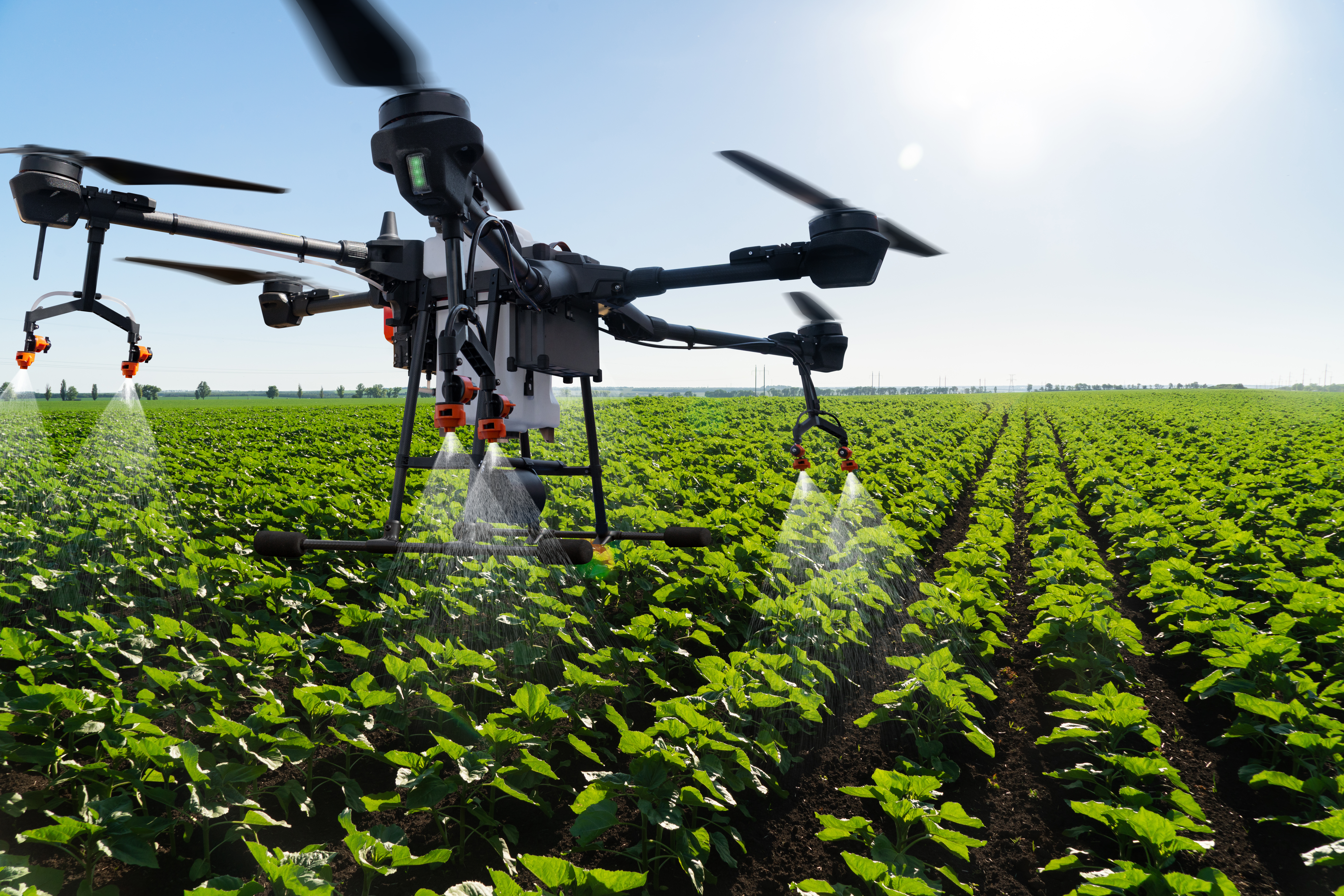 Drone sprayer flies over the agricultural field. Smart farming and precision agriculture