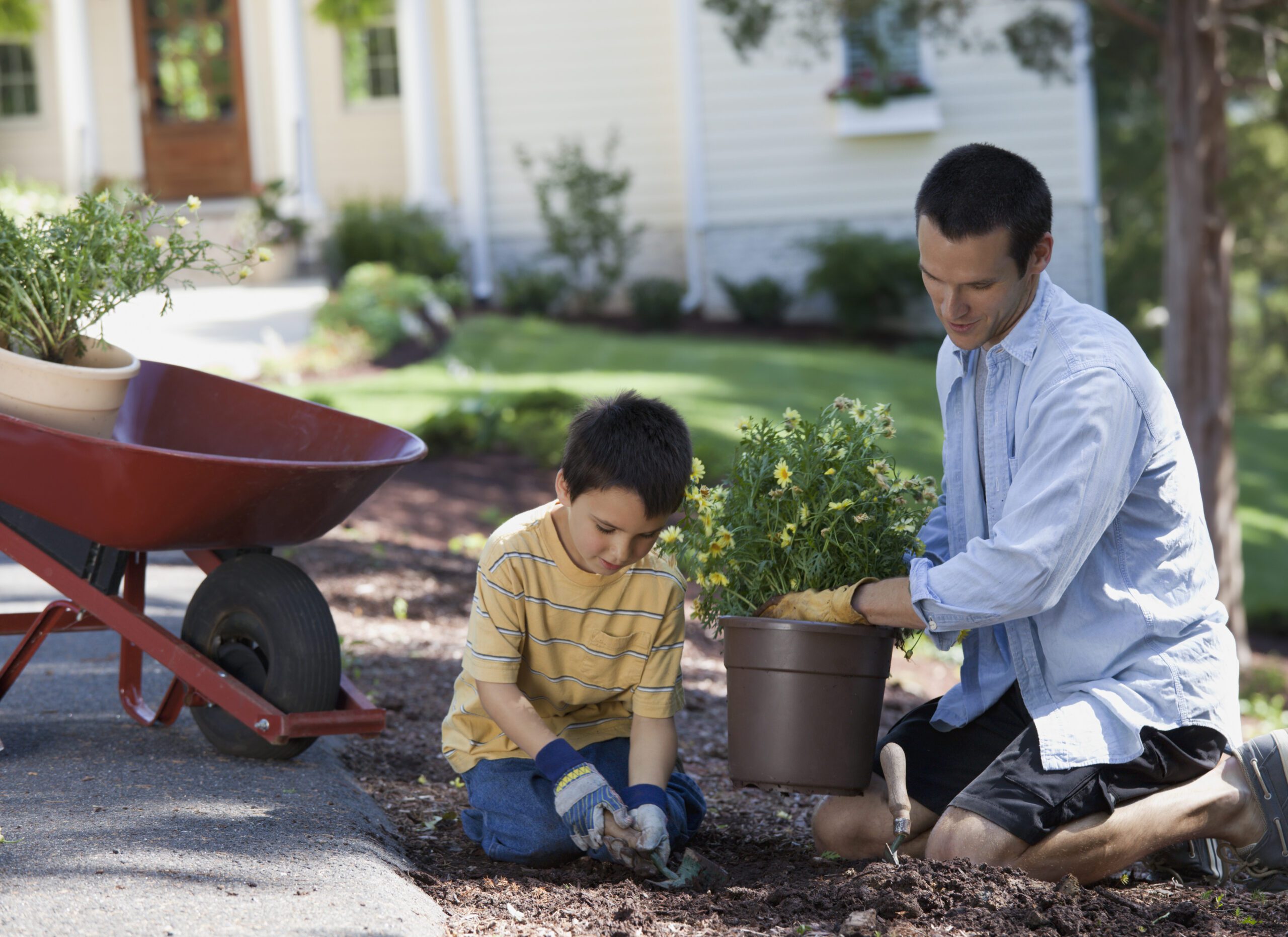 Father and son planting in garden