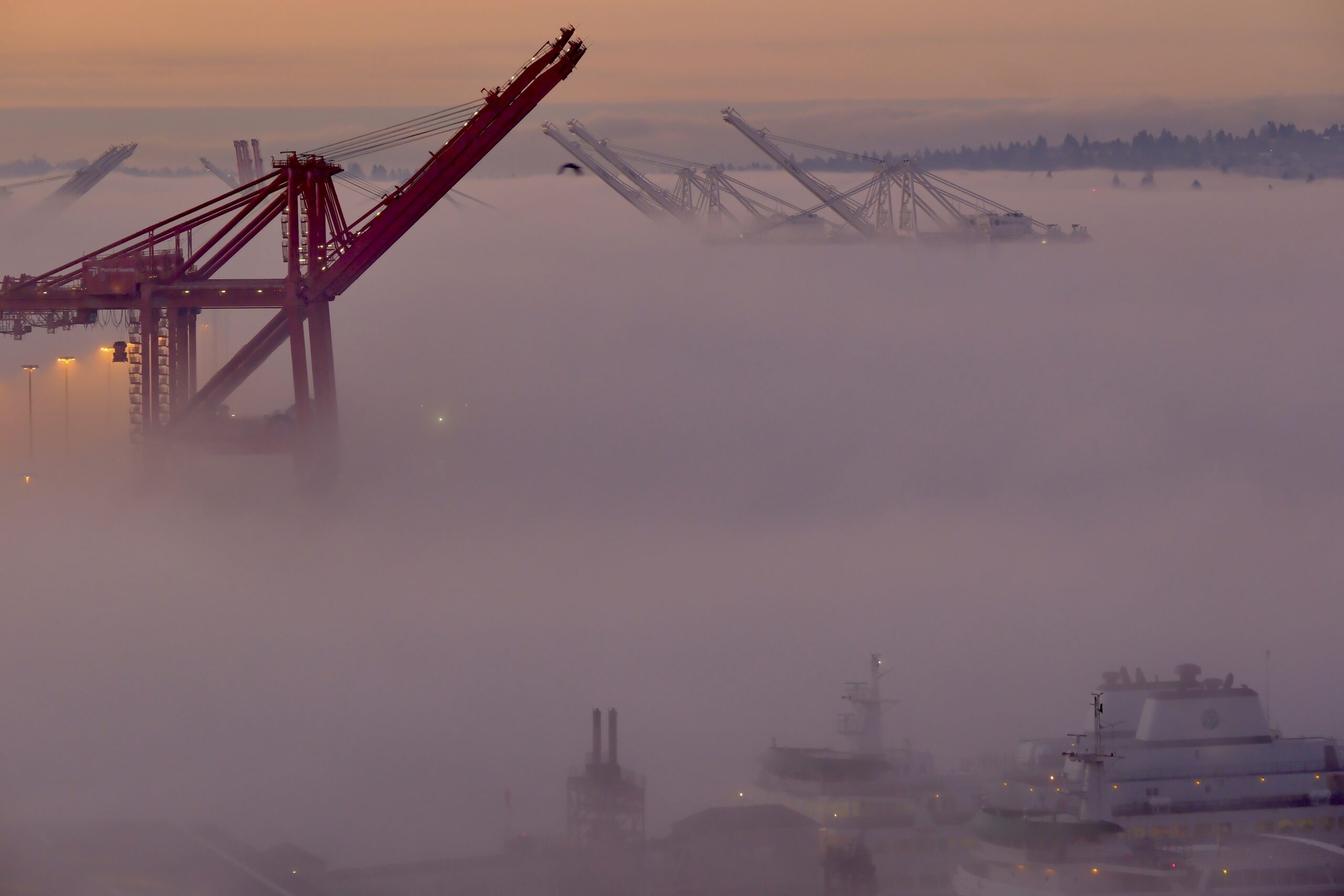 Industrial port with large cranes and ships shrouded in a thick layer of fog at dawn